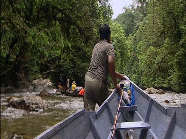 Expedition Borneo - Episode 5