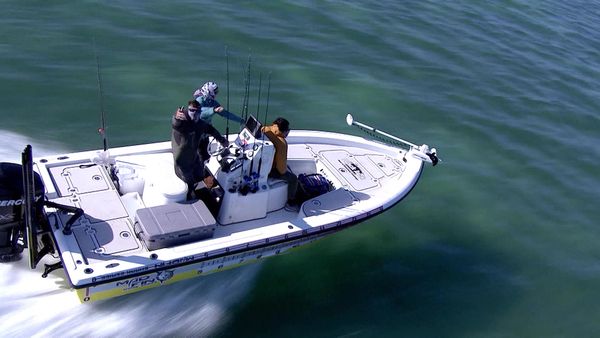 Madfin Shark Series - DAY 3 BEGINS