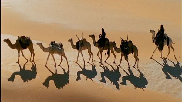 Wild Africa - Deserts