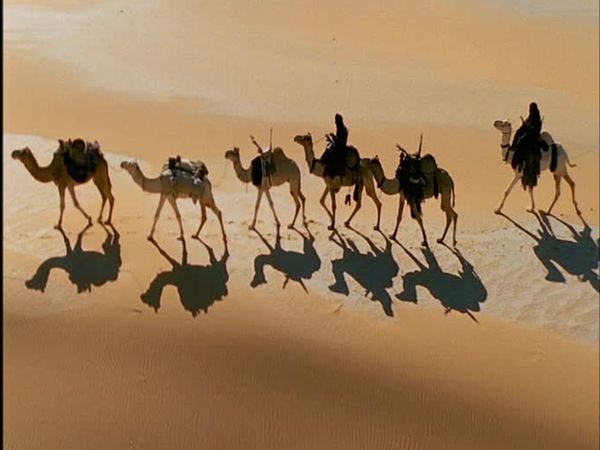 Wild Africa - Deserts
