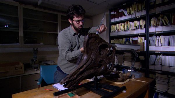 Secrets of The Exhibit - Dinosaurs