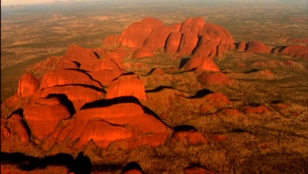 Wild Australasia - Desert Heart