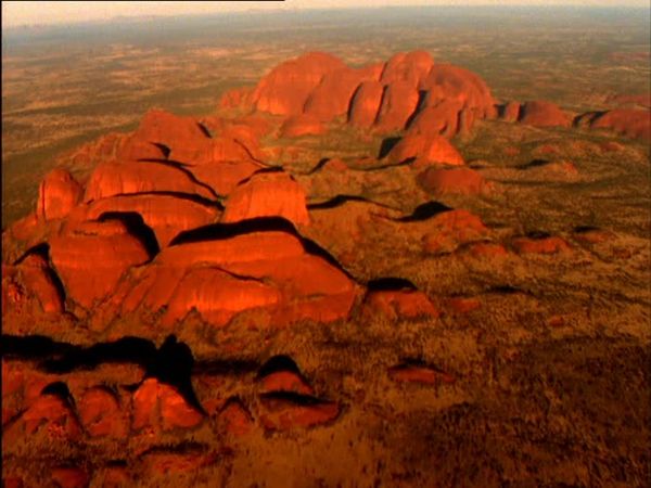 Wild Australasia - Desert Heart