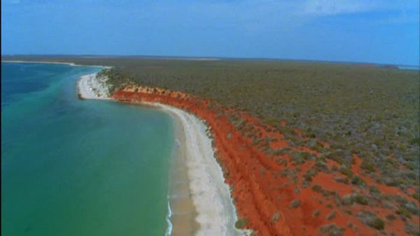 Wild Australasia - Southern Seas