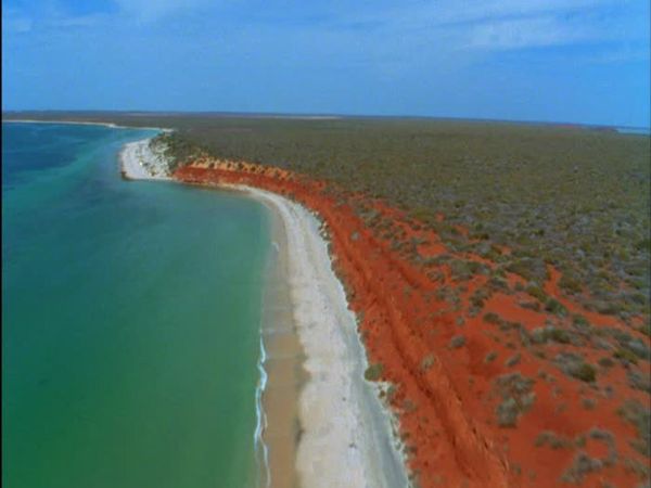 Wild Australasia - Southern Seas
