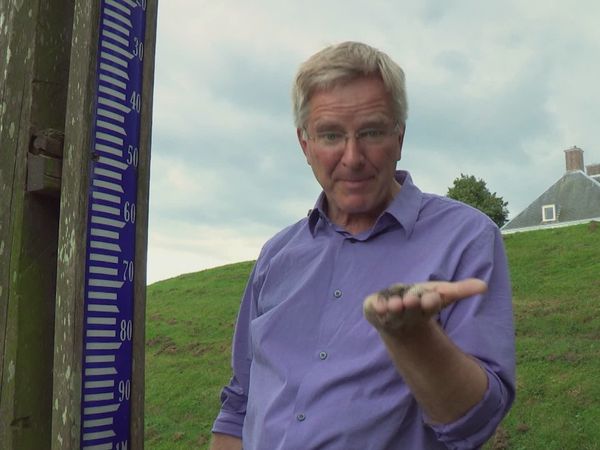 Rick Steves' Europe - The Netherlands: Beyond Amsterdam