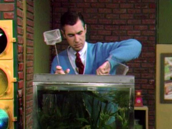 Mister Rogers' Neighborhood - Death of a Goldfish