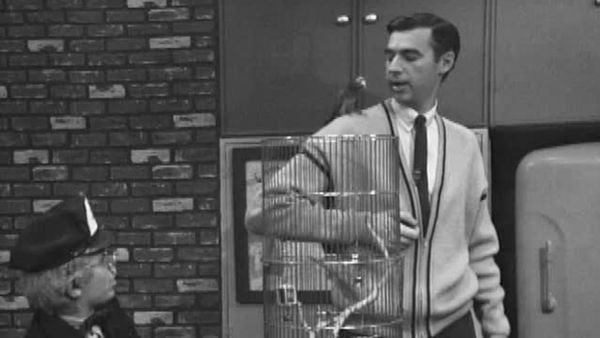 Mister Rogers' Neighborhood - Mister Rogers Feeds a Parakeet