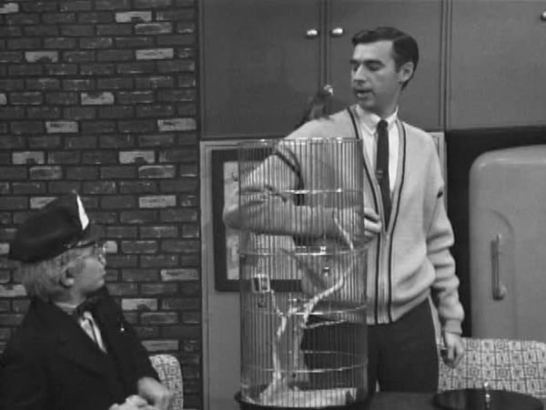 Mister Rogers' Neighborhood - Mister Rogers Feeds a Parakeet