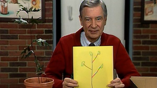 Mister Rogers' Neighborhood - Caring for a Small Plant