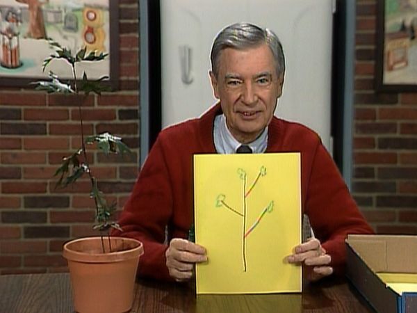 Mister Rogers' Neighborhood - Caring for a Small Plant