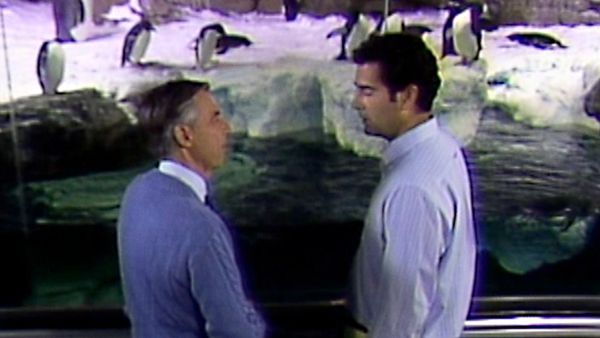 Mister Rogers' Neighborhood - A Field Trip to See Penguins