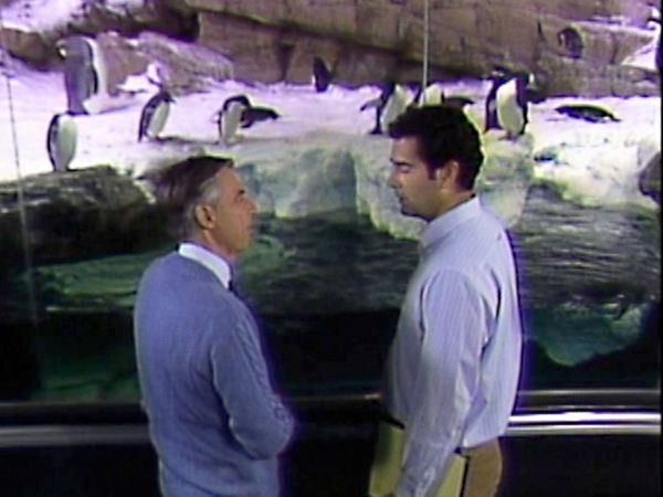 Mister Rogers' Neighborhood - A Field Trip to See Penguins