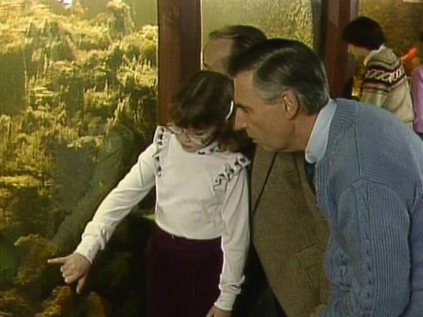 Mister Rogers' Neighborhood - Visit to an Aquarium