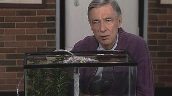 Mister Rogers' Neighborhood - Snorkeling in the Ocean