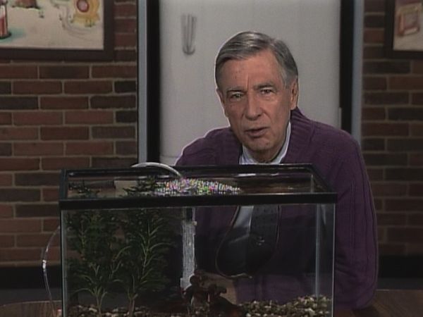 Mister Rogers' Neighborhood - Snorkeling in the Ocean