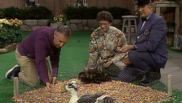 Mister Rogers' Neighborhood - Mister Rogers Learns About Ducklings