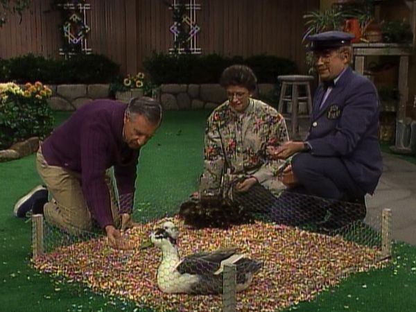 Mister Rogers' Neighborhood - Mister Rogers Learns About Ducklings