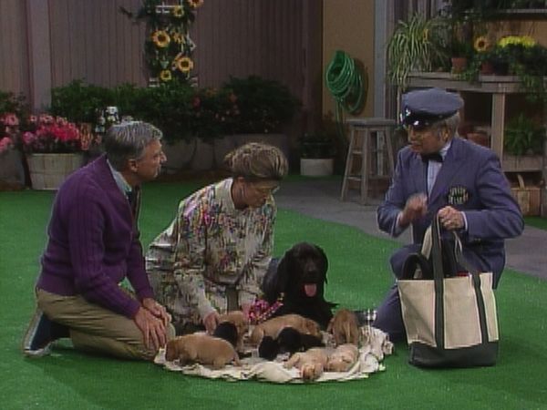 Mister Rogers' Neighborhood - Caring for Puppies
