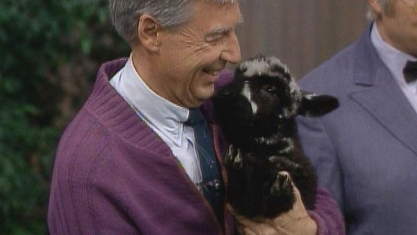 Mister Rogers' Neighborhood - The McFeelys' Lambs