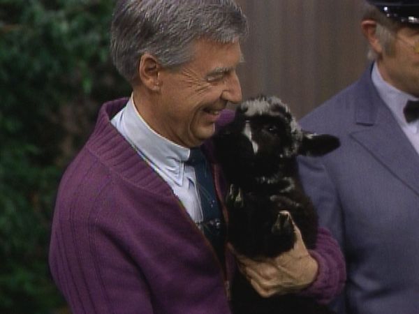 Mister Rogers' Neighborhood - The McFeelys' Lambs