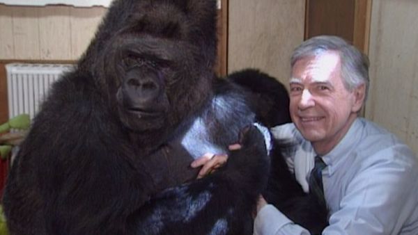 Mister Rogers' Neighborhood - Field Trip to Visit Koko the Gorilla