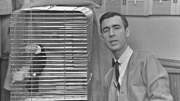 Mister Rogers' Neighborhood - Mister Rogers Brings a Toucan