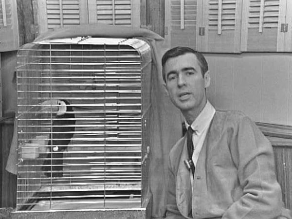 Mister Rogers' Neighborhood - Mister Rogers Brings a Toucan