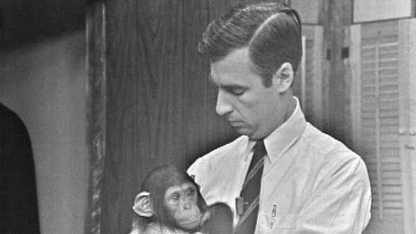Mister Rogers' Neighborhood - Mr. McFeely and the Baby Chimpanzee
