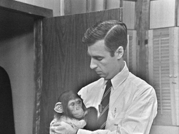 Mister Rogers' Neighborhood - Mr. McFeely and the Baby Chimpanzee