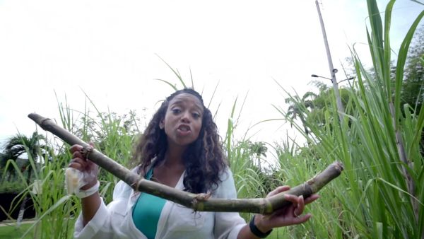 Traveling with Denella Ri'chard - Jamaica's South Coast