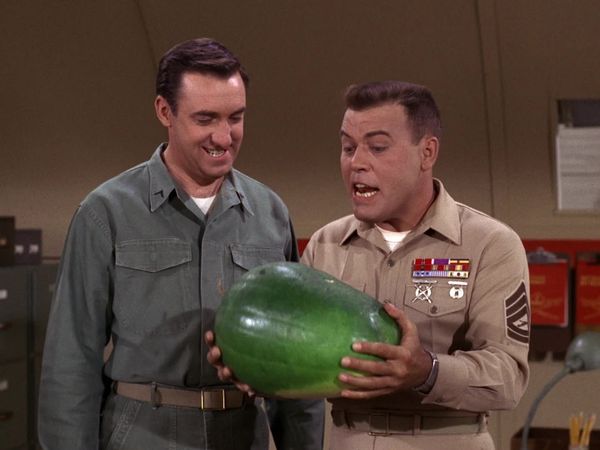 Gomer Pyle, U.S.M.C. - How to Succeed in Farming Without Really Trying
