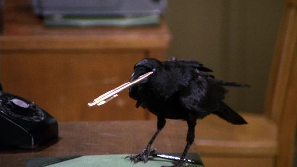 Gomer Pyle, U.S.M.C. - The Crow Ganef