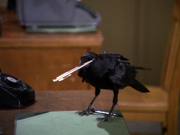 Gomer Pyle, U.S.M.C. - The Crow Ganef