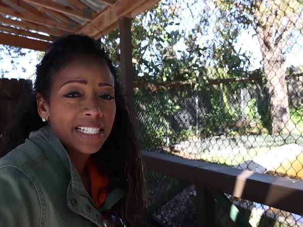 Traveling with Denella Ri'chard - Greater Fort Lauderdale