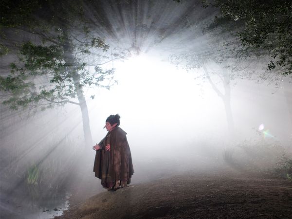 Merlin - The Changeling