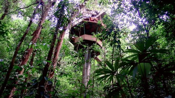 Treehouse Masters - Backyard Bungalow