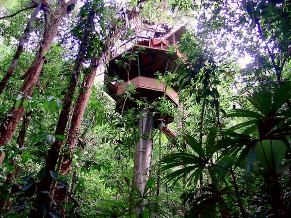 Treehouse Masters - Backyard Bungalow