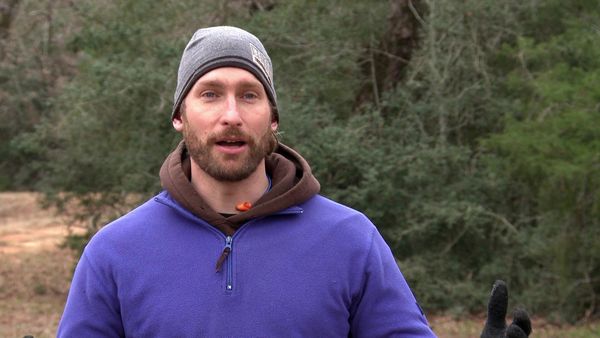 Treehouse Masters - Canopy Clubhouse