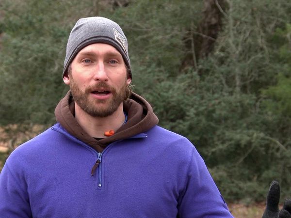Treehouse Masters - Canopy Clubhouse