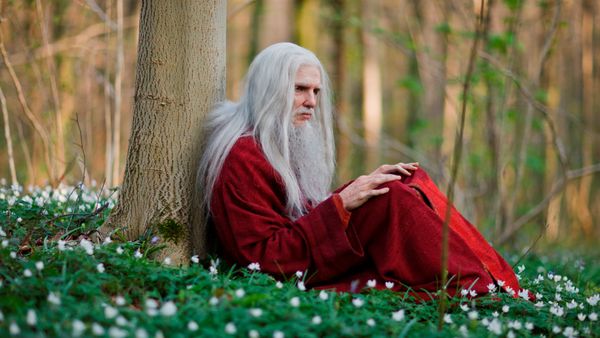 Merlin - A Servant of Two Masters