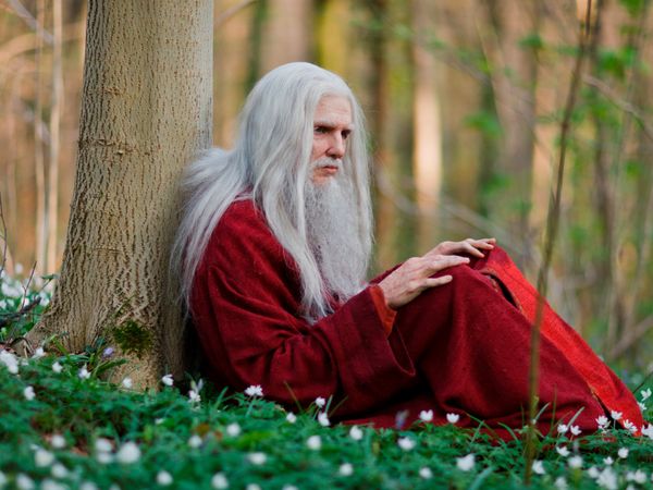 Merlin - A Servant of Two Masters
