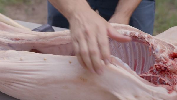 BBQ With Franklin - Whole Hog