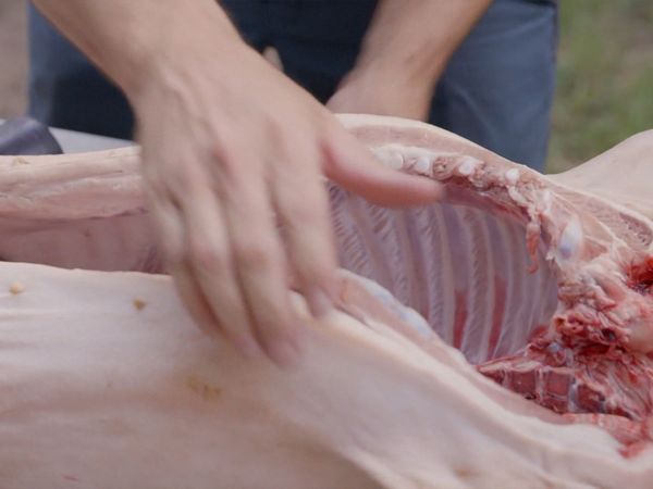 BBQ With Franklin - Whole Hog