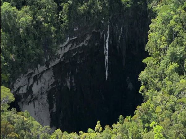 Expedition Borneo - Episode 4