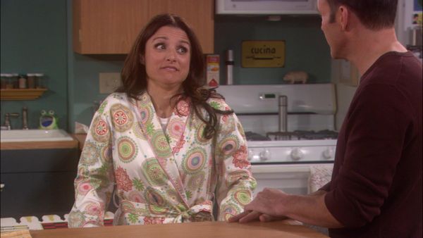 The New Adventures of Old Christine - Love Means Never Having to Say You're Crazy