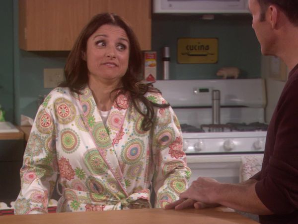 The New Adventures of Old Christine - Love Means Never Having to Say You're Crazy