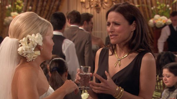 The New Adventures of Old Christine - My Big Fat Sober Wedding