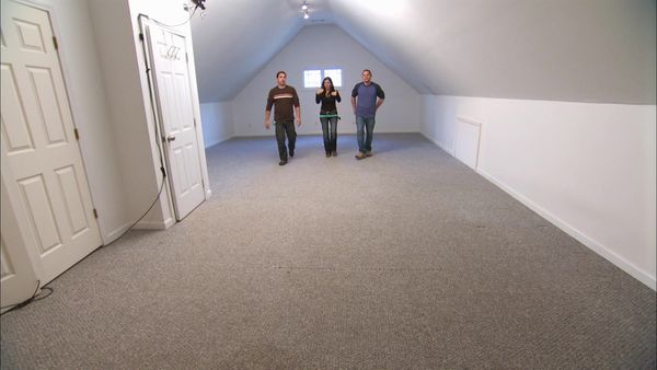 Mega Dens - Attic Attack!