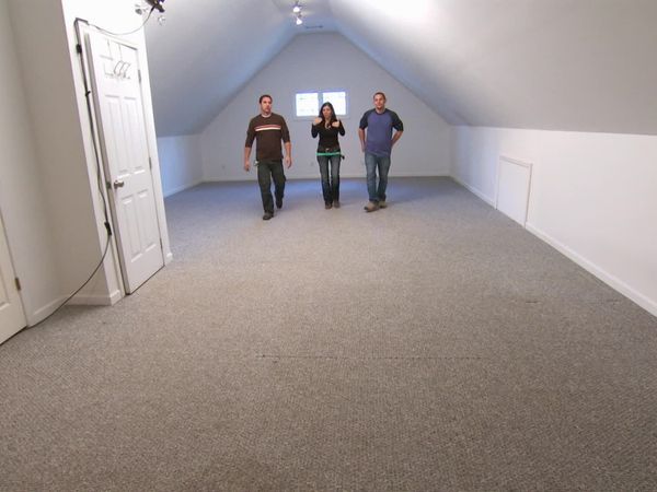 Mega Dens - Attic Attack!